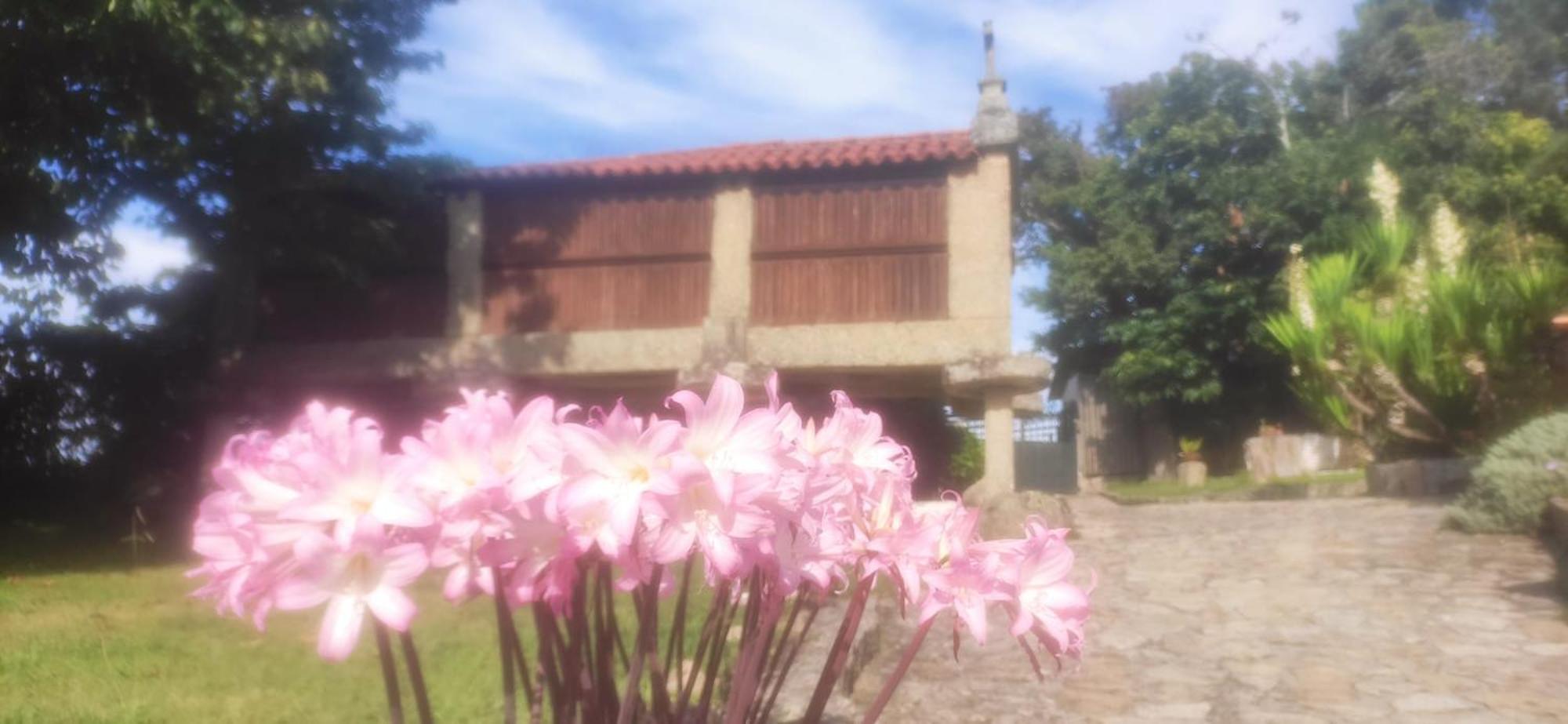 Casal De Folgueiras Rias Baixas Guest House Meis Екстериор снимка